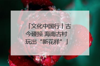 文化中国行丨古今碰撞 海南古村玩出“新花样”