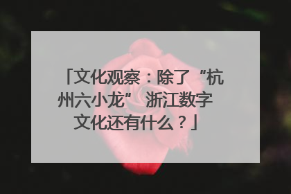 文化观察：除了“杭州六小龙” 浙江数字文化还有什么？