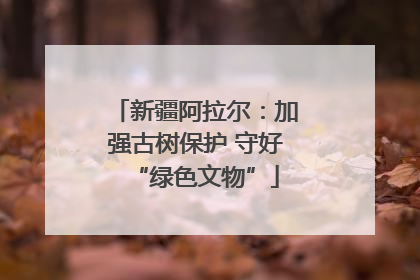 新疆阿拉尔：加强古树保护 守好“绿色文物”