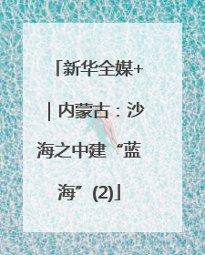 新华全媒+｜内蒙古：沙海之中建“蓝海”(2)