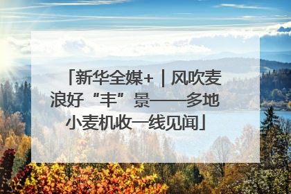 新华全媒+｜风吹麦浪好“丰”景——多地小麦机收一线见闻