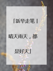 新华走笔丨晴天雨天，都是好天