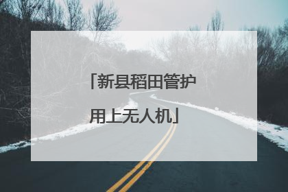 新县稻田管护用上无人机