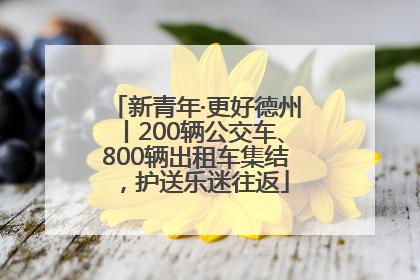 新青年·更好德州丨200辆公交车、800辆出租车集结，护送乐迷往返