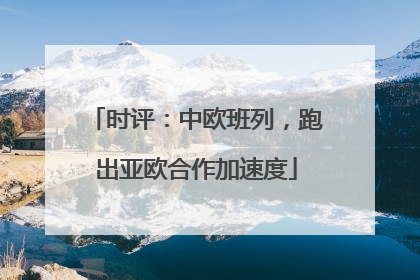 时评：中欧班列，跑出亚欧合作加速度