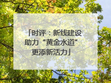 时评：新线建设助力“黄金水道”更添新活力