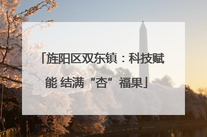 旌阳区双东镇：科技赋能 结满“杏”福果