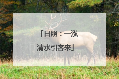 日照：一泓清水引客来