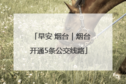 早安 烟台｜烟台开通5条公交线路
