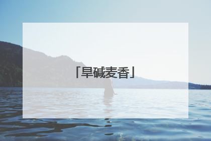 旱碱麦香
