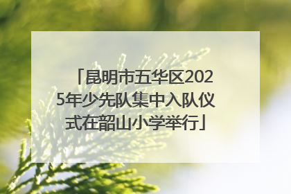 昆明市五华区2025年少先队集中入队仪式在韶山小学举行