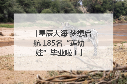 星辰大海 梦想启航 185名“莲幼娃”毕业啦！