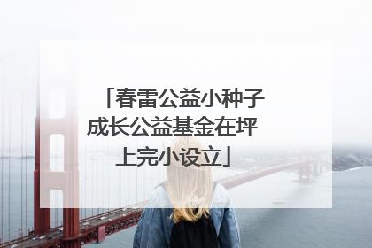 春雷公益小种子成长公益基金在坪上完小设立