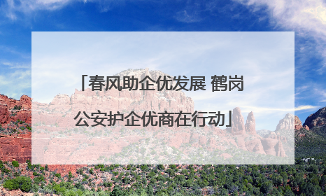 春风助企优发展 鹤岗公安护企优商在行动
