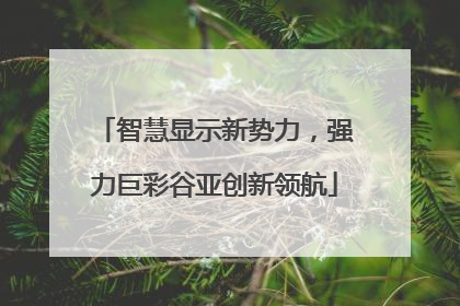 智慧显示新势力，强力巨彩谷亚创新领航