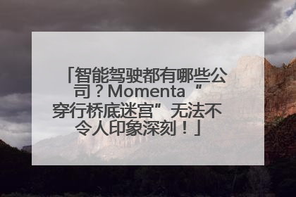 智能驾驶都有哪些公司？Momenta“穿行桥底迷宫”无法不令人印象深刻！