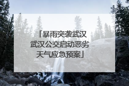 暴雨突袭武汉 武汉公交启动恶劣天气应急预案