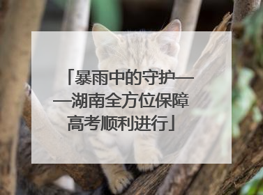 暴雨中的守护——湖南全方位保障高考顺利进行