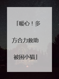 暖心！多方合力救助被困小猫