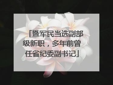 暨军民当选副部级新职，多年前曾任省纪委副书记