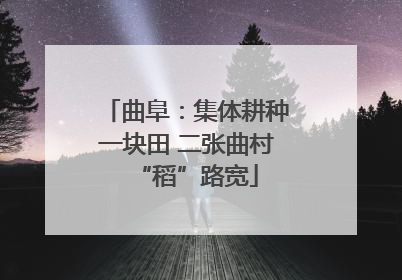 曲阜：集体耕种一块田 二张曲村“稻”路宽