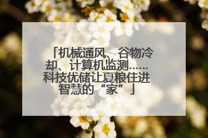机械通风、谷物冷却、计算机监测……科技优储让夏粮住进智慧的“家”