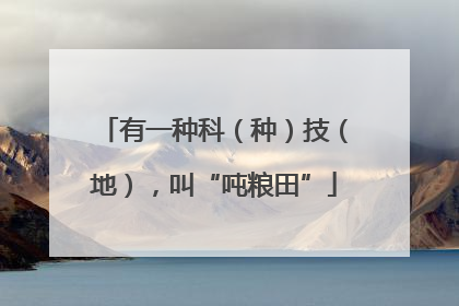 有一种科（种）技（地），叫“吨粮田”