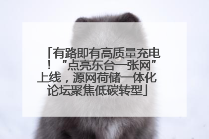 有路即有高质量充电！“点亮东台一张网”上线，源网荷储一体化论坛聚焦低碳转型