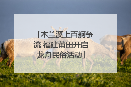 木兰溪上百舸争流 福建莆田开启龙舟民俗活动
