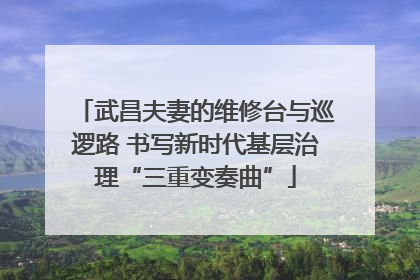 武昌夫妻的维修台与巡逻路 书写新时代基层治理“三重变奏曲”