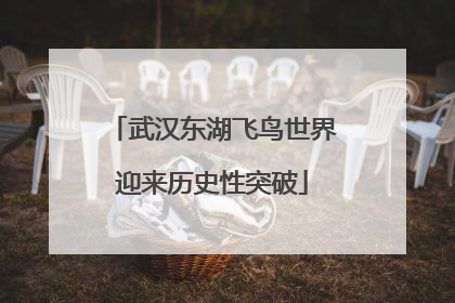 武汉东湖飞鸟世界迎来历史性突破
