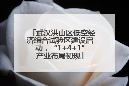 武汉洪山区低空经济综合试验区建设启动，“1+4+1”产业布局初现