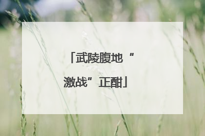 武陵腹地“激战”正酣