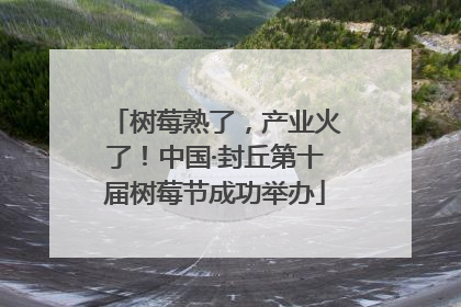 树莓熟了，产业火了！中国·封丘第十届树莓节成功举办