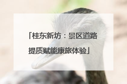 桂东新坊：景区道路提质赋能康旅体验