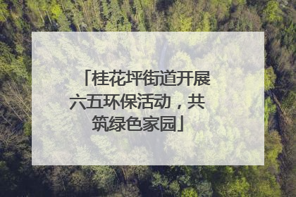 桂花坪街道开展六五环保活动，共筑绿色家园