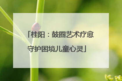 桂阳：鼓圈艺术疗愈守护困境儿童心灵