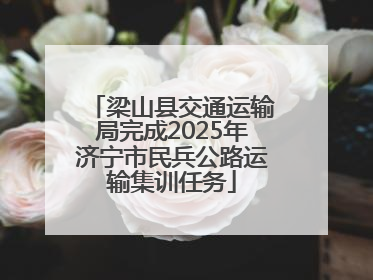 梁山县交通运输局完成2025年济宁市民兵公路运输集训任务