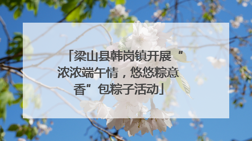 梁山县韩岗镇开展“浓浓端午情，悠悠粽意香”包粽子活动