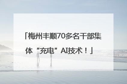 梅州丰顺70多名干部集体“充电”AI技术！