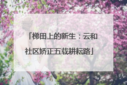 梯田上的新生：云和社区矫正五载耕耘路