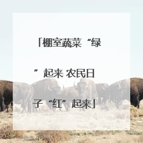 棚室蔬菜“绿”起来 农民日子“红”起来