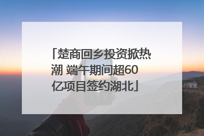 楚商回乡投资掀热潮 端午期间超60亿项目签约湖北