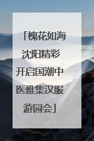 槐花如海 沈阳精彩开启国潮中医雅集汉服游园会