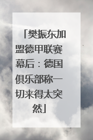 樊振东加盟德甲联赛幕后：德国俱乐部称一切来得太突然