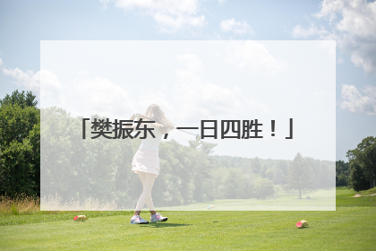 樊振东，一日四胜！