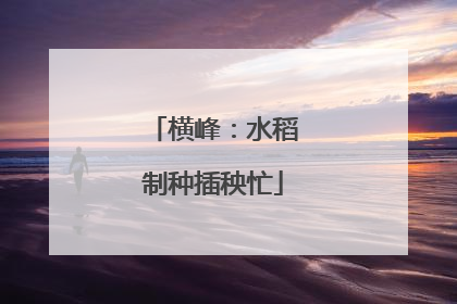 横峰：水稻制种插秧忙