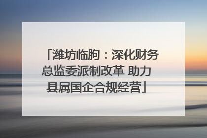潍坊临朐：深化财务总监委派制改革 助力县属国企合规经营