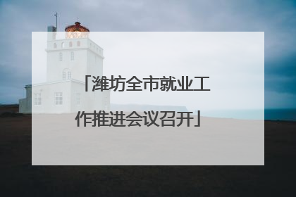 潍坊全市就业工作推进会议召开
