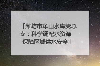 潍坊市牟山水库党总支：科学调配水资源 保障区域供水安全